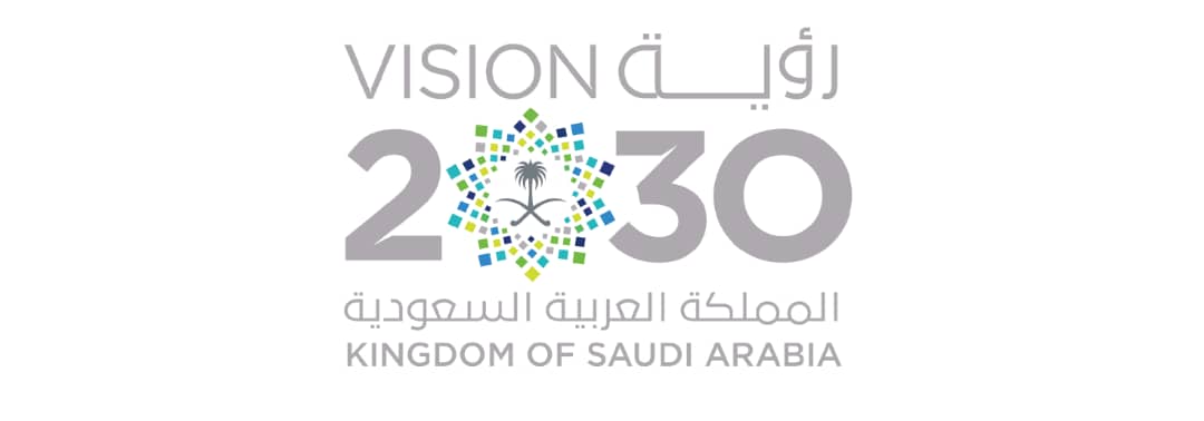 منصة رؤية(Vision)2030